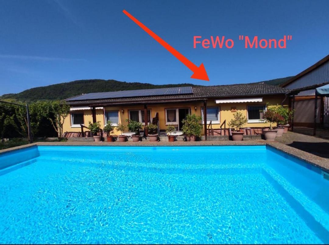 ヴィントリッヒMoselferienweingut Schaeferアパートメント 部屋 写真