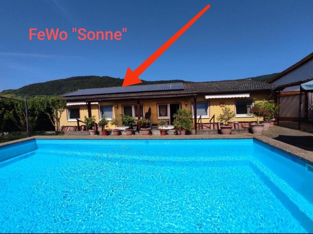 ヴィントリッヒMoselferienweingut Schaeferアパートメント 部屋 写真