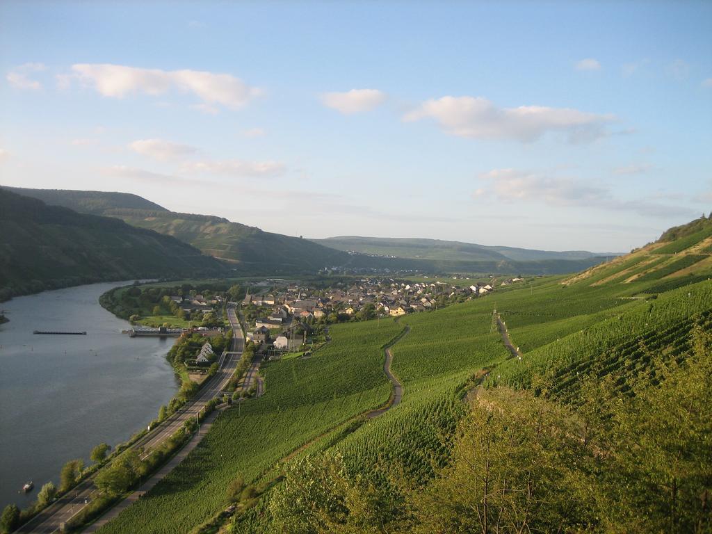 ヴィントリッヒMoselferienweingut Schaeferアパートメント エクステリア 写真